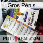 Gros Pénis 11